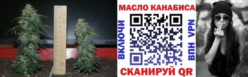 ТГК концентрат  Салаир 
